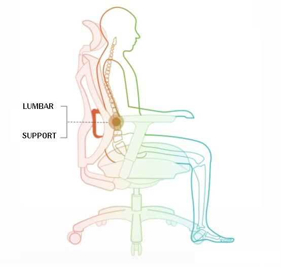 Ergonomic chairs really work?