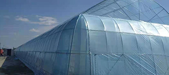 Uz greenhouse