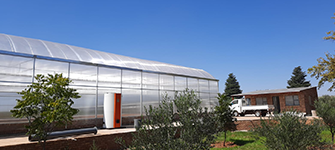 South Africa - Arch sunlight plate greenhouse