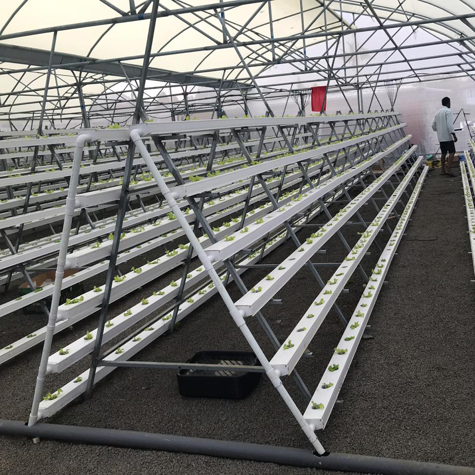 A-frame hydroponics