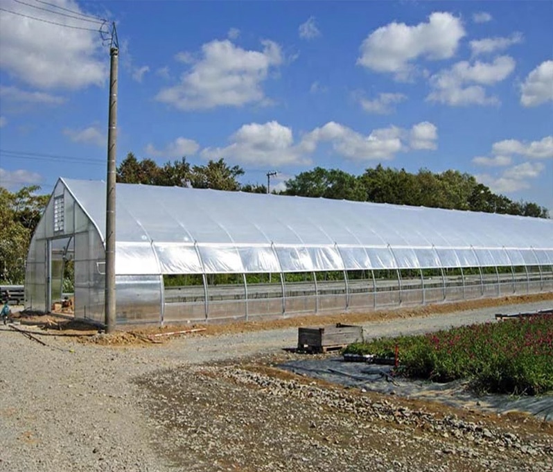 tunnel greenhouse